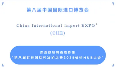 Panoramski pogled na 8. CIIE: Globalno središte resursa, Luja Adhesives Forum...